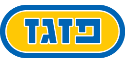 פזגז חשמל